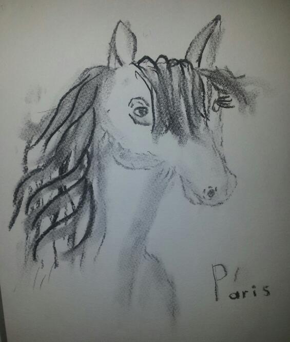 Drawing horse